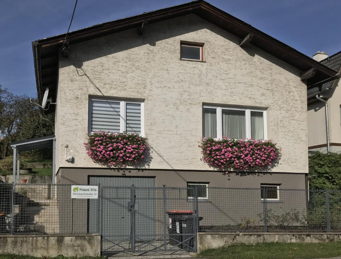 Haus-Iris-Mauerbach Villa Dış mekan fotoğraf